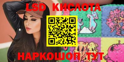 стаф Будённовск
