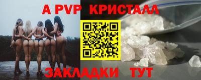 стаф Будённовск