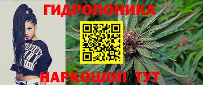 стаф Будённовск