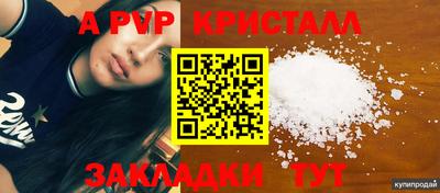 стаф Будённовск